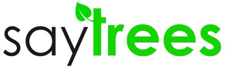 First American India Pvt Ltd